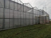 Тепличный комплекс "Калининский", Краснодарский край, ст-ца Калининская